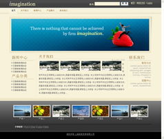 商丘網(wǎng)站建設 專業(yè)網(wǎng)站開發(fā)與網(wǎng)絡公司選擇指南