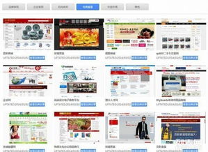 大泉州地區(qū)網(wǎng)站建設與網(wǎng)店開設 5000+成功案例，助力企業(yè)數(shù)字化升級